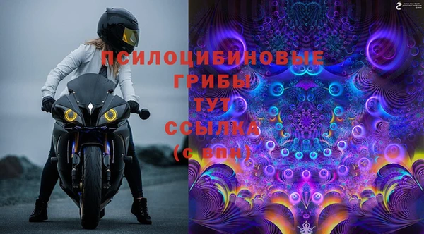 эйфоретик Карпинск