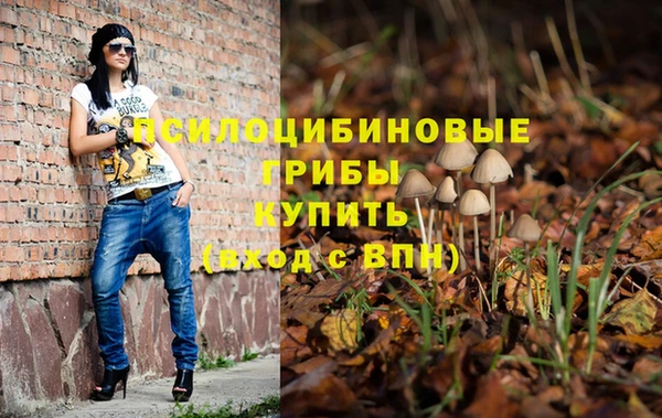 mdpv Карталы