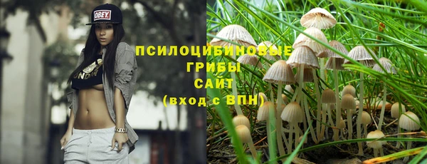 каннабис Каменногорск
