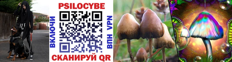 Галлюциногенные грибы MAGIC MUSHROOMS  Купить где  Изобильный 